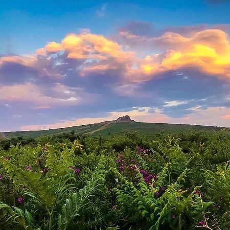 Haytor Court, Haytor, Dartmoor Apartment ภายนอก รูปภาพ