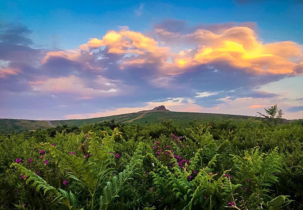 Haytor Court, Haytor, Dartmoor Apartment ภายนอก รูปภาพ